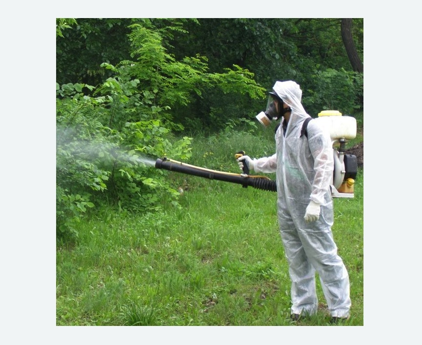 обработка территории от клещей в Весьегонске