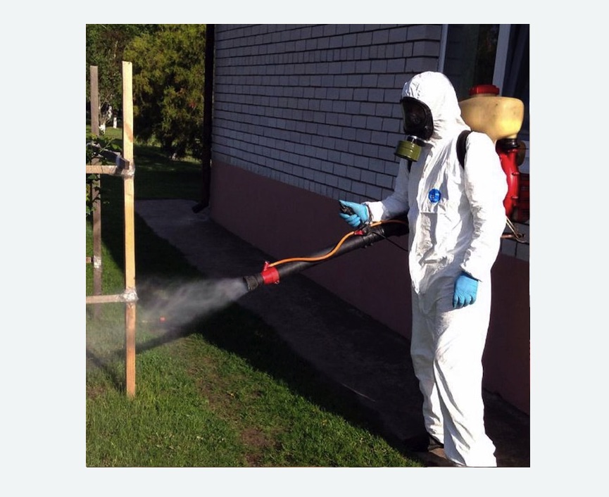 травля клещей на участке в Весьегонске