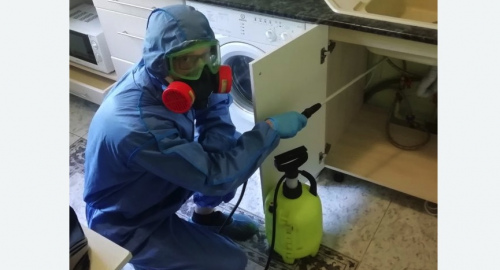 Уничтожение муравьев в квартире. Весьегонск