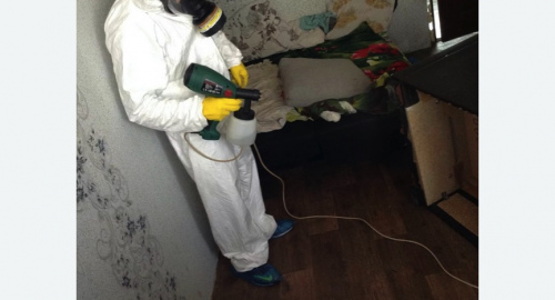 Обработка квартир от насекомых в Весьегонске