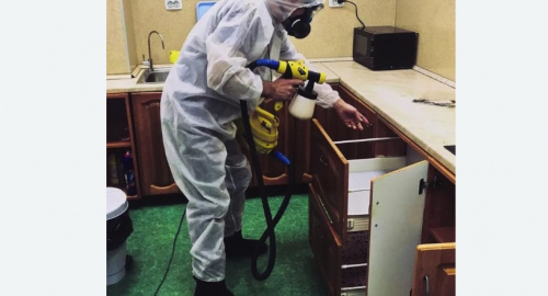 Дезинсекция квартиры. Весьегонск