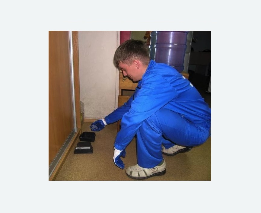 Дератизация крыс в Весьегонске