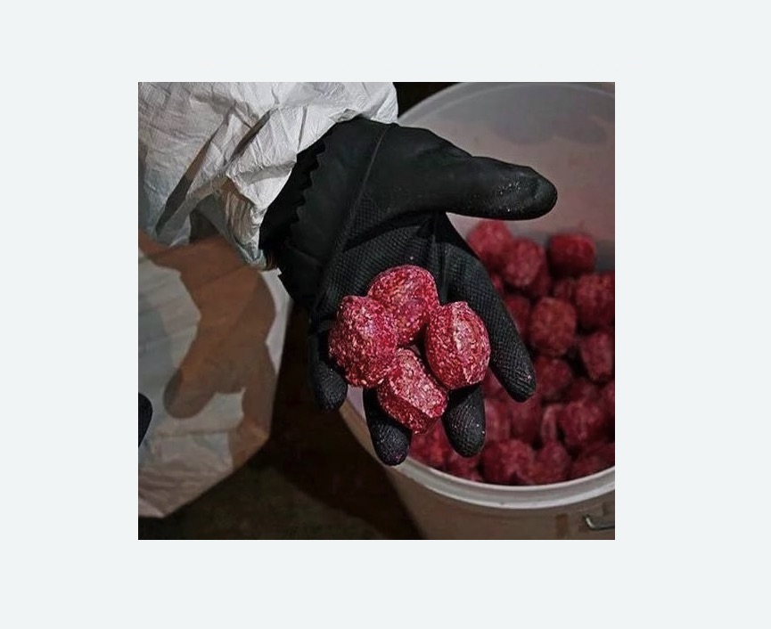 Обработка от крыс в Весьегонске