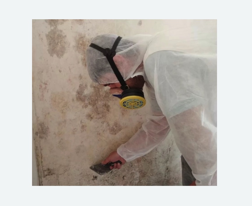 Обработка стен от плесени в Весьегонске