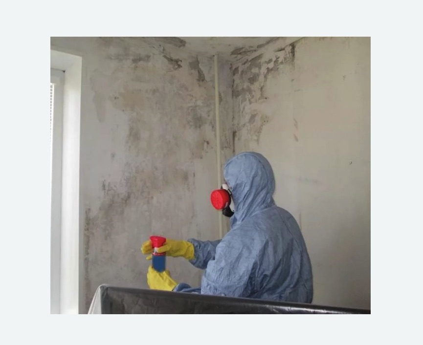 Удаление плесени в квартире в Весьегонске