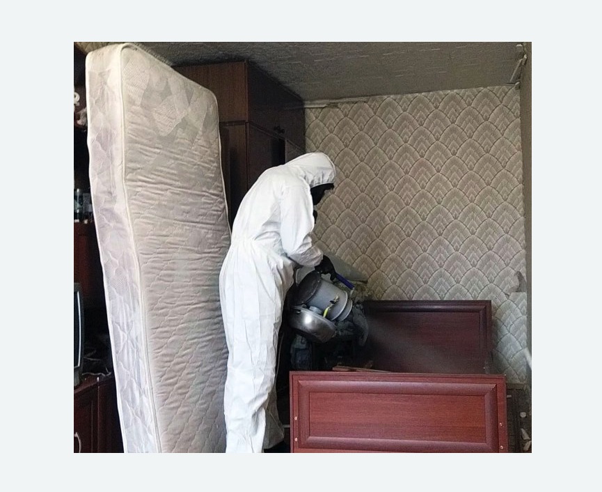 дезинфекция от клопов в Весьегонске