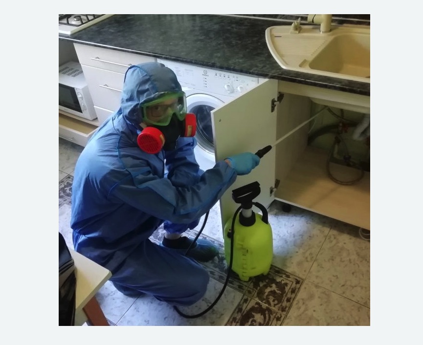 обработка от муравьев в квартире в Весьегонске