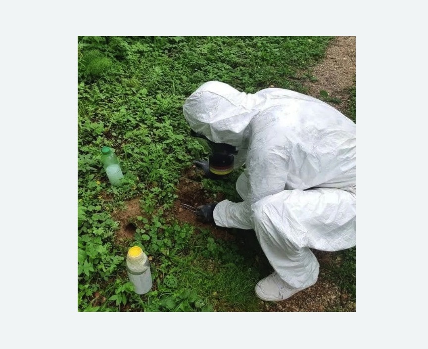 уничтожение кротов на участке в Весьегонске