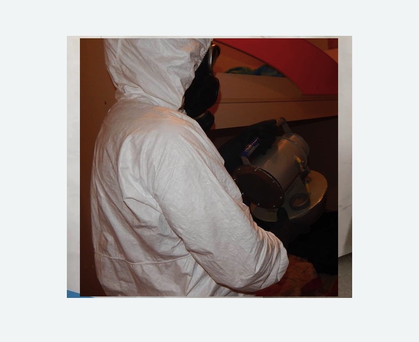 Дезинфекция от муравьев в Весьегонске