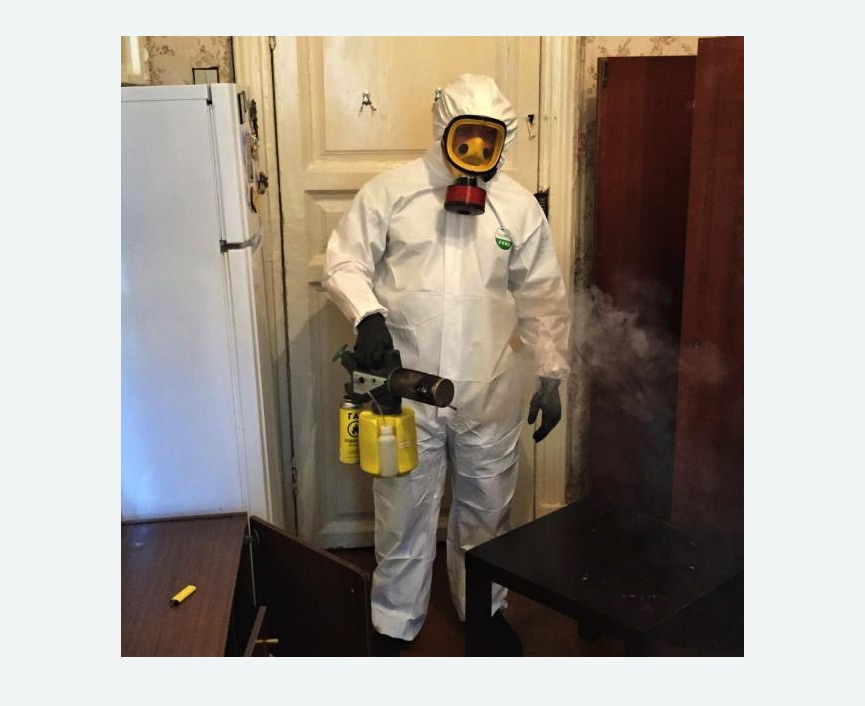 уничтожение муравьев в квартире в Весьегонске